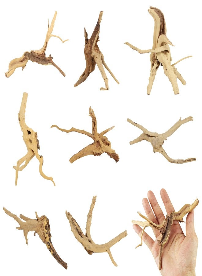 Axigundaone 8 Pcs Natural Spider Woods, 4-8 Inch Small Driftwood Branches, Aquarium Driftwood for Reptile Fish Tank Decorations - Image 1
